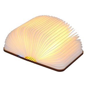 Galapara LED Lampe in Buchoptik für nur 14,79 Euro