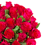 Top! 35 rote Rosen (50cm) für nur 25,98€ inkl. Lieferung