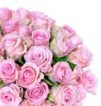 Strauß mit 40 pinke Rosen für nur 24,98 Euro inkl. Lieferung