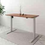 Flexispot EG1 elektrisch höhenverstellbarer Schreibtisch für 169,99€ (statt 230€)