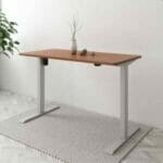 Flexispot EG1 elektrisch höhenverstellbarer Schreibtisch für 169,99€ (statt 230€)