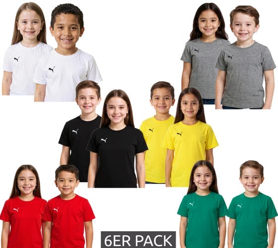 PUMA TeamGoal 23 T-Shirt Bundle