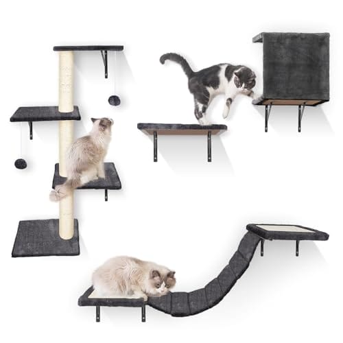 HEVOL Kletterwand Katzen Set