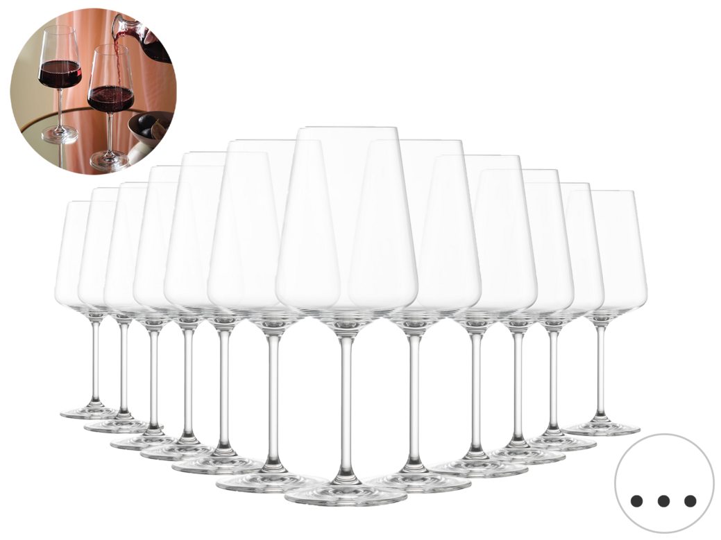 12x Schott Zwiesel Passionata Rotweinglas