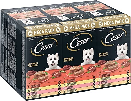 Cesar Megapack Klassik-Terrine - Hundenassfutter in der Schale Cesar Megapack Klassik-Terrine