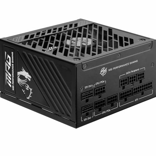 MSI MPG A1000GS Netzteil