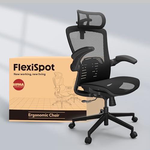 FLEXISPOT Ergonomischer Bürostuhl