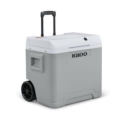Igloo IE42 Kühlbox 42L für Auto und Steckdose nur 67,63€