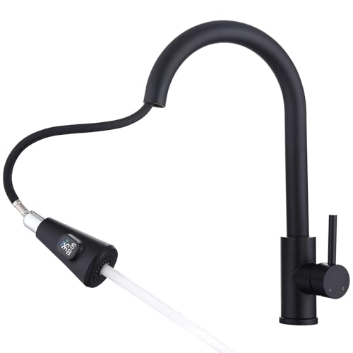 HOMELODY Wasserhahn Küche Schwarz