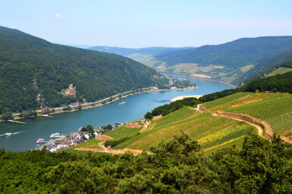 2 Nächte Rüdesheim am Rhein im 4-Sterne AKZENT Hotel Berg´s Alte Bauernschänke inkl. Frühstück + Dinner nur 249,99€ (statt 372€) für 2 Personen