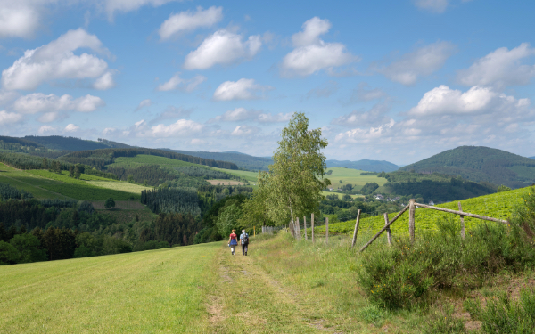 Winkhausen/Sauerland: 3 Nächte im 5-Sterne S AWARD Hotel Deimann inkl. Halbpension + Wellness nur 999,99€ (statt 1758€) für 2 Personen