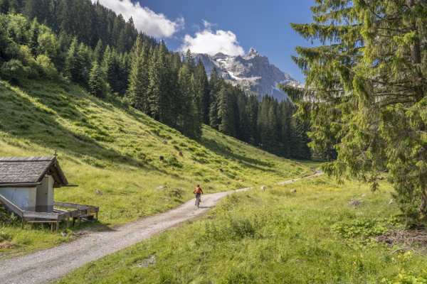 Travelcircus: Tschagguns/Vorarlberg im 4-Sterne TUI BLUE Montafon inkl. Halbpension schon ab 79€ (statt 124€) p.P.