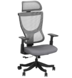 Flexispot BS8G Grau Ergonomischer Bürostuhl für nur 124,99€ inkl. Versand