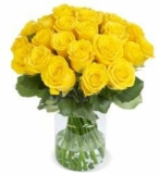 50 gelbe Rosen für nur 24,98€