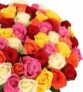 Blumenstrauß mit 50 bunten Rosen XXL  für nur 37,98€ inkl. Lieferung (statt 49,99€)