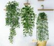 Künstliche Hängepflanzen Eukalyptus 3 Stück für nur 24,83€