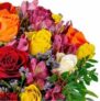 Blumenstrauß Farbtraum für 25,98€ (statt 35,98€)
