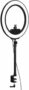 Elgato Ring Light nur 119,90€