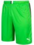 PUMA King Herren Shorts für nur 11,94€ (statt 13,94€)