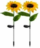 2er Pack Solar Gartenleuchten für nur 19,98€ (statt 39,98€)