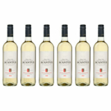 6er-Karton Acantus Sauvignon Blanc (2022, Spanien) für nur 26,97€ inkl. Versand