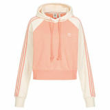 Adidas Originals Adicolor Classics Collegiate Cropped Damen Hoodie für nur 33,94€ (statt 49€)