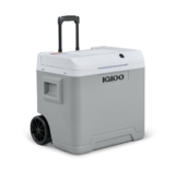 Igloo IE42 Kühlbox 42L für Auto und Steckdose nur 67,63€