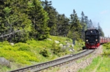 Travelcircus: 2 Nächte Schierke im Harz in einer Lodge nach Wahl schon ab 164€ (statt 253€) p.P.