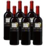 12 Flaschen Calle Principal Tempranillo-Cabernet Sauvignon für nur 34,48€ inkl. Lieferung
