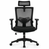 Blitzangebot: Daccormax Ergonomischer Schreibtischstuhl mit Lendenwirbelstütze für 107,39€