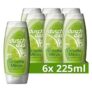 6x 225 ml Duschdas Duschgel Limette Minze ab nur 5,64€ – Prime