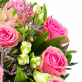 Blumenstrauß „Frisch Verliebt“ mit rosa Rosen für nur 27,98€ inkl. Lieferung