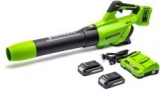 Greenworks 2 X 24V Akku-Gebläse mit 2 Akku und Ladegerät für 129,99€