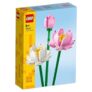 LEGO Botanik Kollektion Lotusblumen für nur 10€ inkl. Prime-Versand
