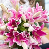 Strauß mit 20 pinken Lilien für nur 27,48€ inkl. Lieferung