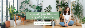 3 für 2 Aktion bei PflanzePlus – 3 Produkte kaufen und nur 2 bezahlen!