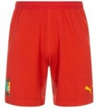 Puma Training Short für nur 13,94€ (statt 15,94€)