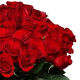 44 rote Rosen (40 cm Stiellänge) für nur 32,48€ inkl. Lieferung