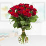 Rosenstrauß aus 20 roten Premium-Rosen (50 cm) für nur 22,90€