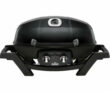 Napoleon Gasgrill TravelQ PRO285 + zusätzliche Gusseisenplatte für nur 249€ inkl. Versand
