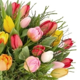 Blumenstrauß „Modern Love“ mit 14 Tulpen für 27,48€ inkl. Versand