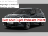 Jetzt zuschlagen: Cupra Terramar für nur 207,06 € im Monat – 24 Monate Leasing!