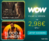 Top! 12 Monate WOW Filme & Serien Abo für nur 2,98€ mtl. (statt 10€) – inkl. The Last of Us, House of the Dragon, uvm.